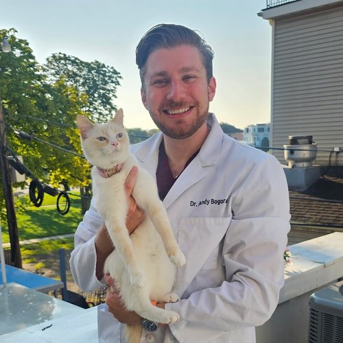 Dr. Andrew Bogorad DVM