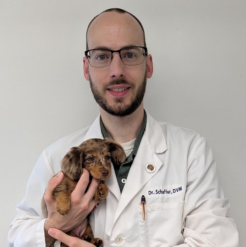Dr. Nathan Schaffer DVM