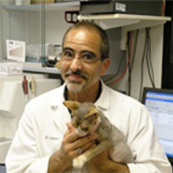 Dr. Thomas G. Curro DVM